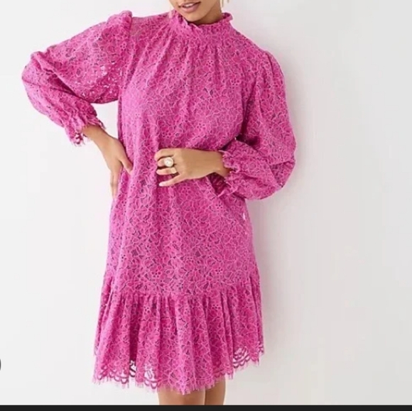J. Crew Dresses & Skirts - J. Crew Pink Lace Ruffle Neck Mini Dress Size Small